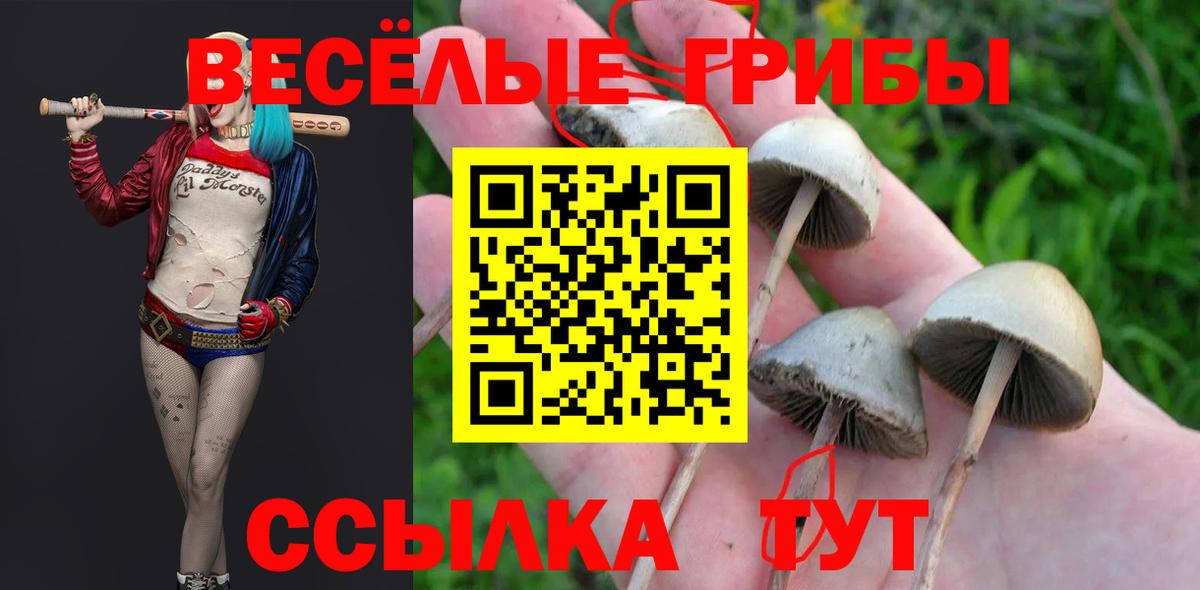 Псилоцибиновые грибы ЛСД Ликино-Дулёво